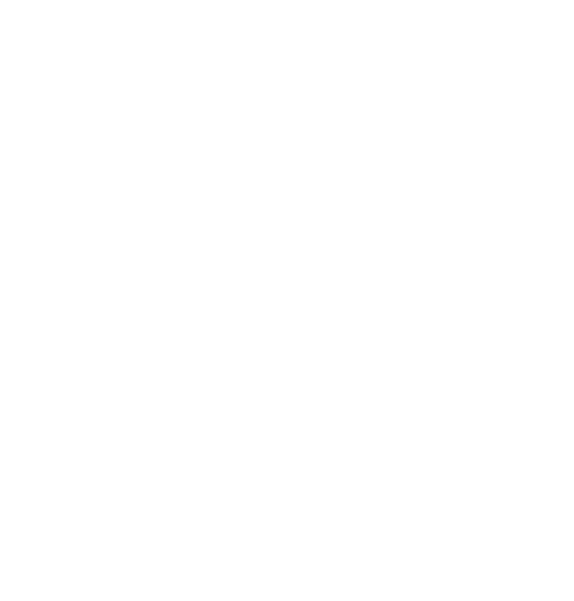 Naveen Srikantachari Photography Logo